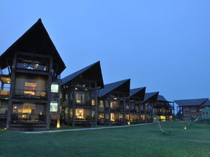 斯里兰卡6晚8日游 深度兰卡野趣,斯航广州直飞,撩锡兰大象,茶园海滨双火车,升级海滨酒店,加勒名城赏海景,茶园读历史,含司导服务费 出发 途牛