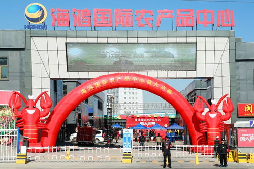 新疆首家一站式全产业链农副产品商贸综合体建成投运 海鸿国际农产品中心9月15日盛大启幕