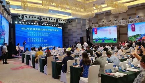 携手中三角 合作研学游 长江中游城市群推出12条研学旅行经典路线