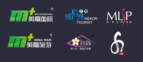 美丽佳品 项目介绍