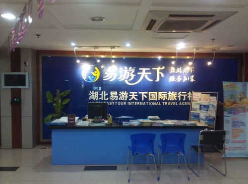 湖北易游天下国际旅行社