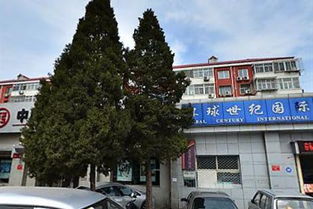 环球世纪国际旅行社 领航旅游新纪元